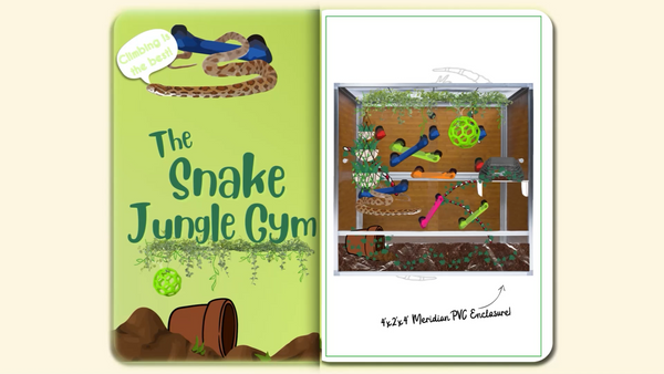 the snake jungle gym mockup image for a Zen Habitats Corn Snake enclosure build