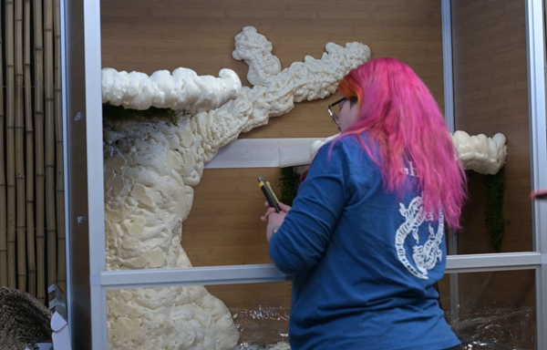 Pictured is Zen Habitats Animal Care manager building a spray foam tree in a Zen Habitats 4x2x4 PVC Reptile Enclosure