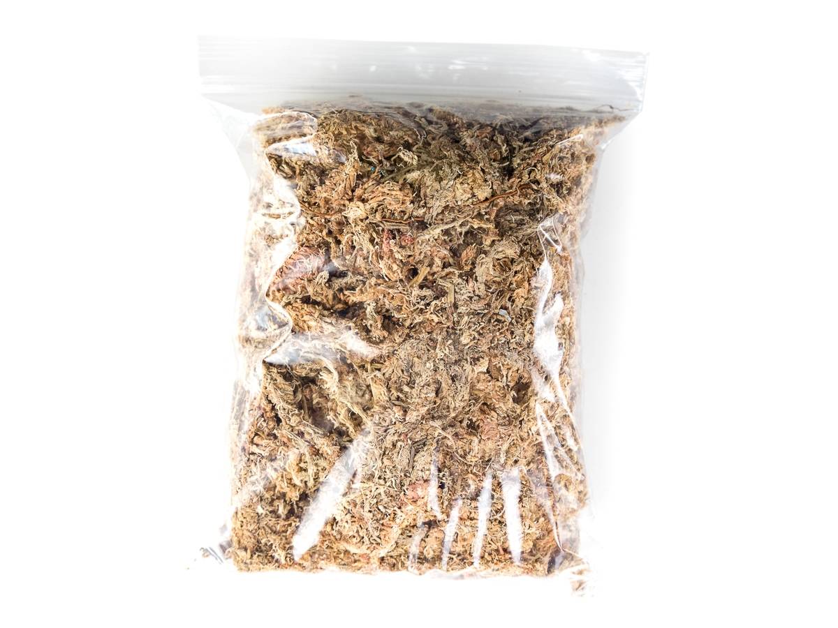 Fresh Sheet Moss (2 quart) – Zen Habitats