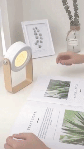 Prixy 4-in-1 Multi-function Portable LED Lamp – AZORA