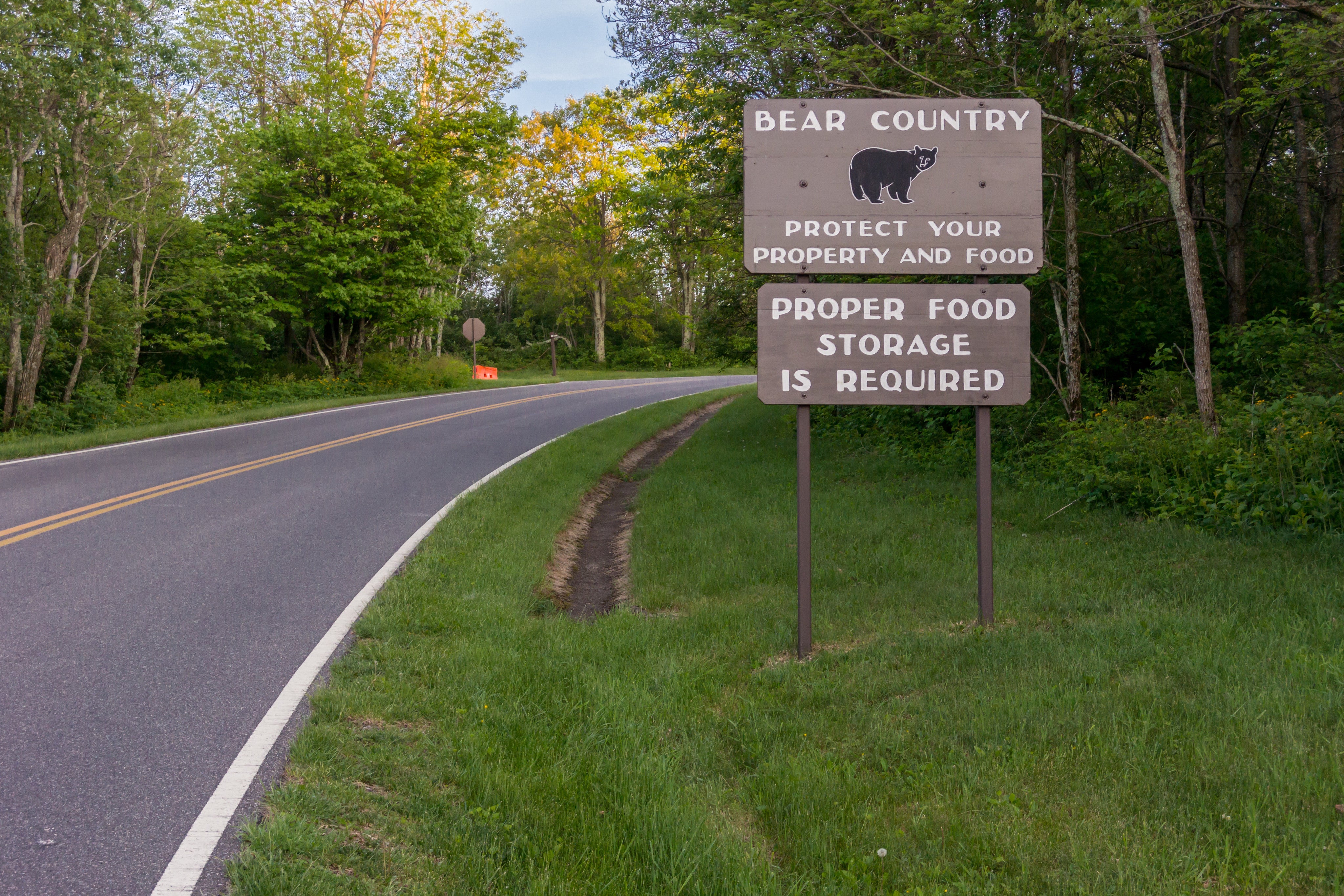 How to BearProof your Campsite