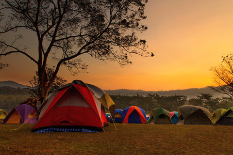 tents setup at a campsite