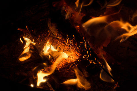 campfire burning 