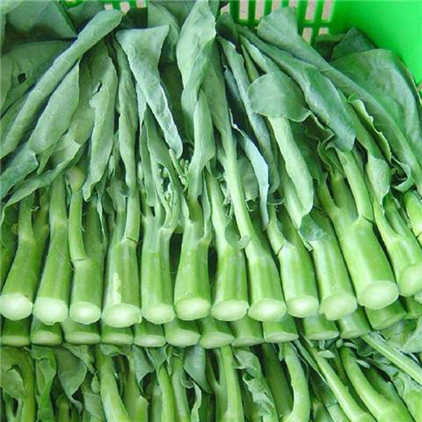 Chinese Kale Seeds — Jack Seeds