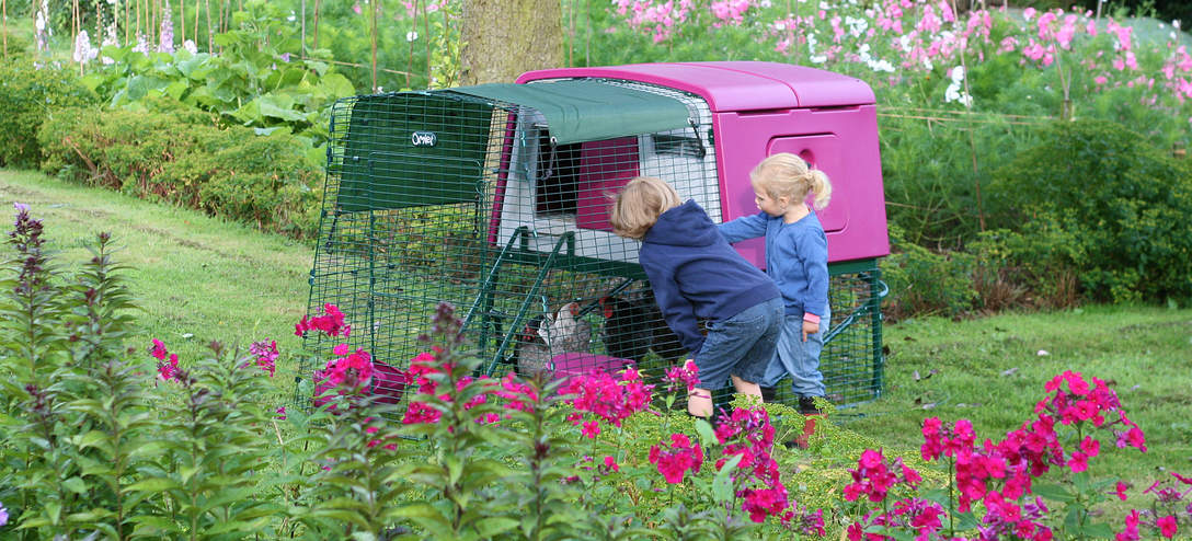 Omlet Eglu Cube Chicken Coop Free Shipping