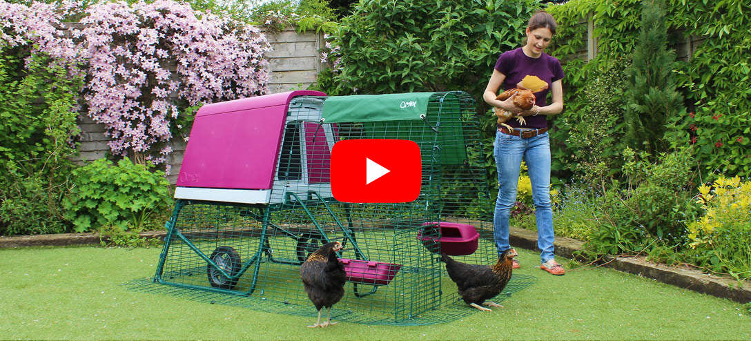 Omlet Eglu Go Up Chicken Coop – Four Legs or Wings Pets