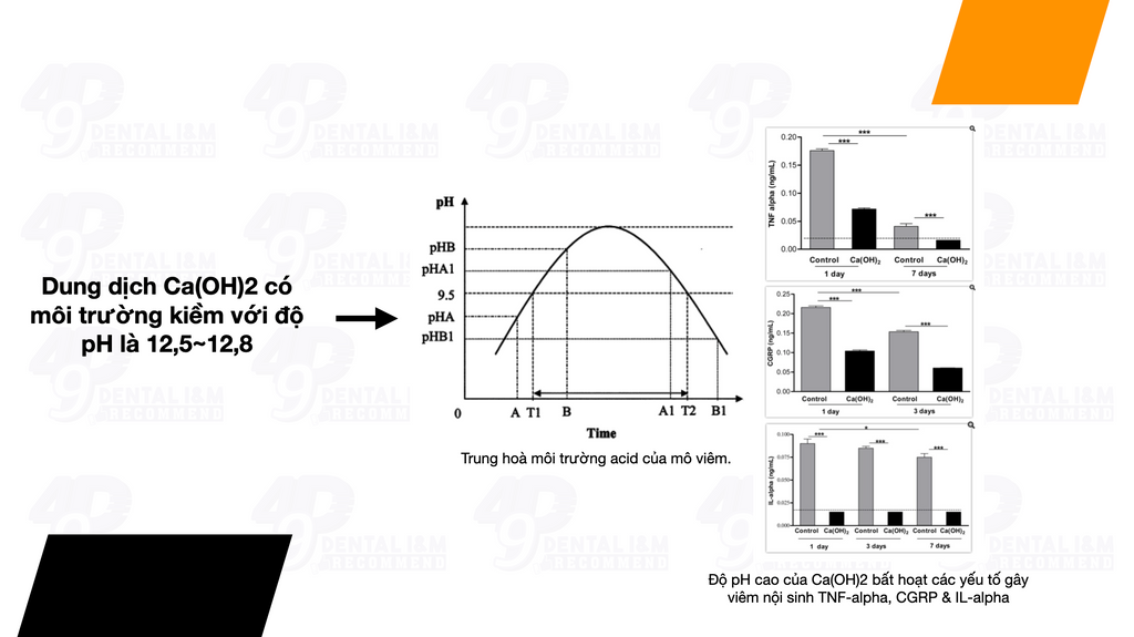 Ca(OH)2 và khả năng điều hoà phản ứng viêm dùng trong nội nha - 49P