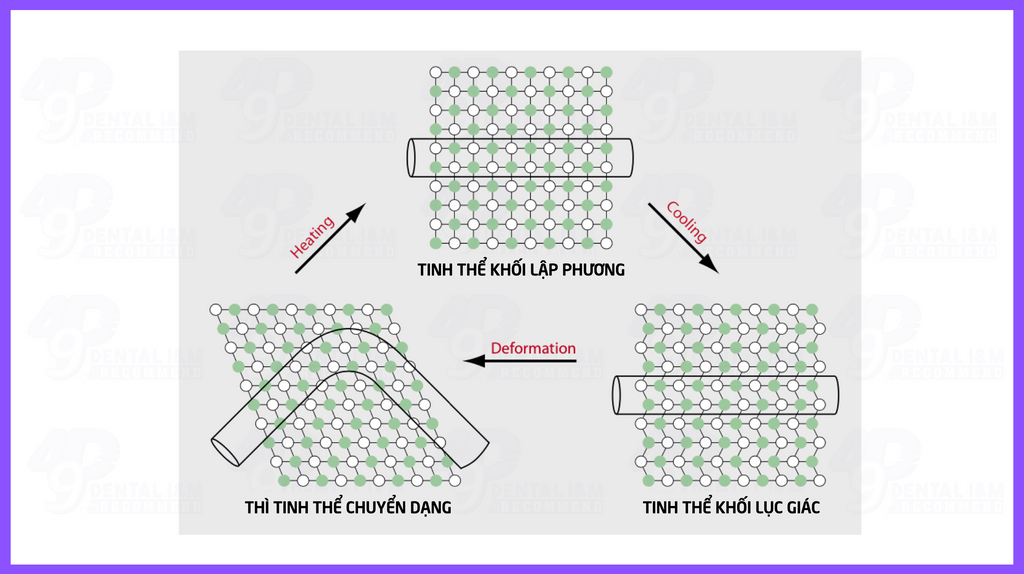 Các thì tinh thể của NiTi - 49P I&M Recommend