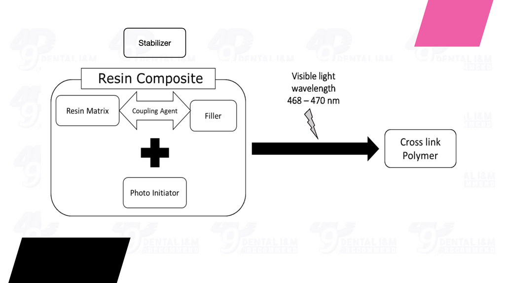 Các thành phần tham gia vào phản ứng trùng hợp Composite - 49P