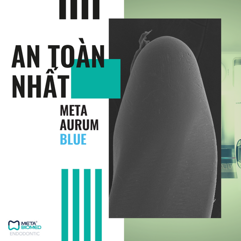 META Aurum Blue - Trâm máy NiTi an toàn nhất