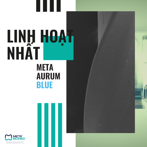 Meta Aurum Blue - Trâm máy NiTi Linh hoạt nhất