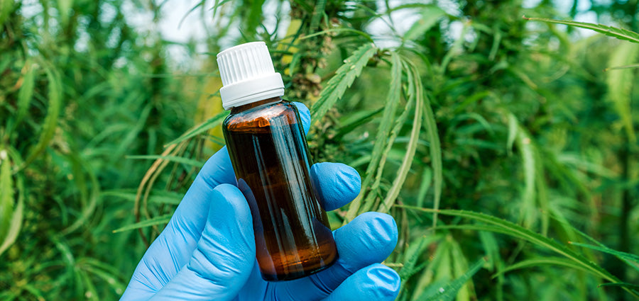 cbd oil bottle held by scientist. buy the best cbd beauty products online USA.