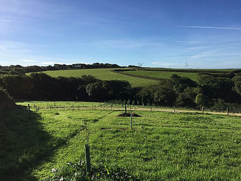 Penlow field - view