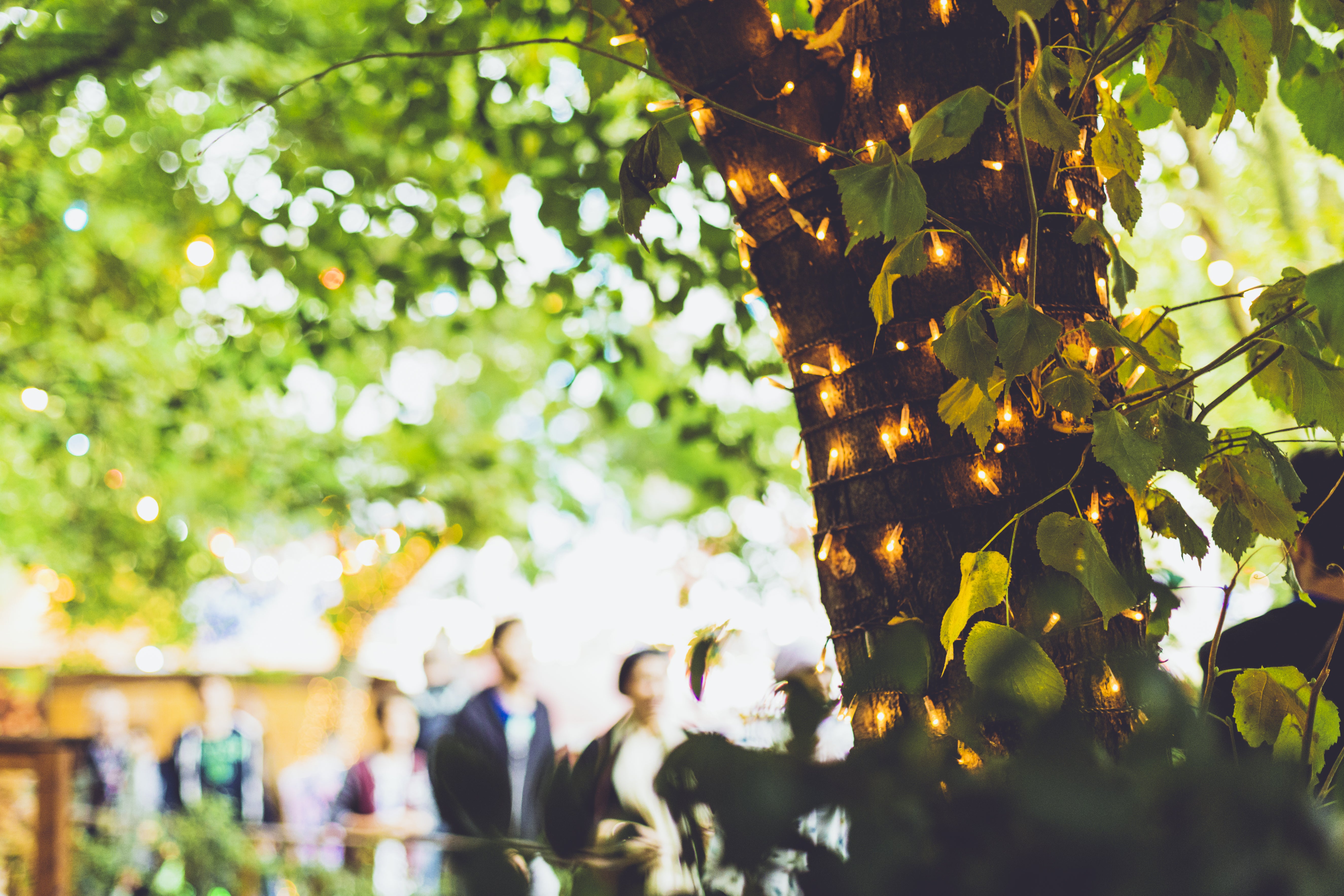 The Evolution of Cemeteries: The Rise of Natural Burial Ground