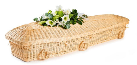 Willow pod caskets image