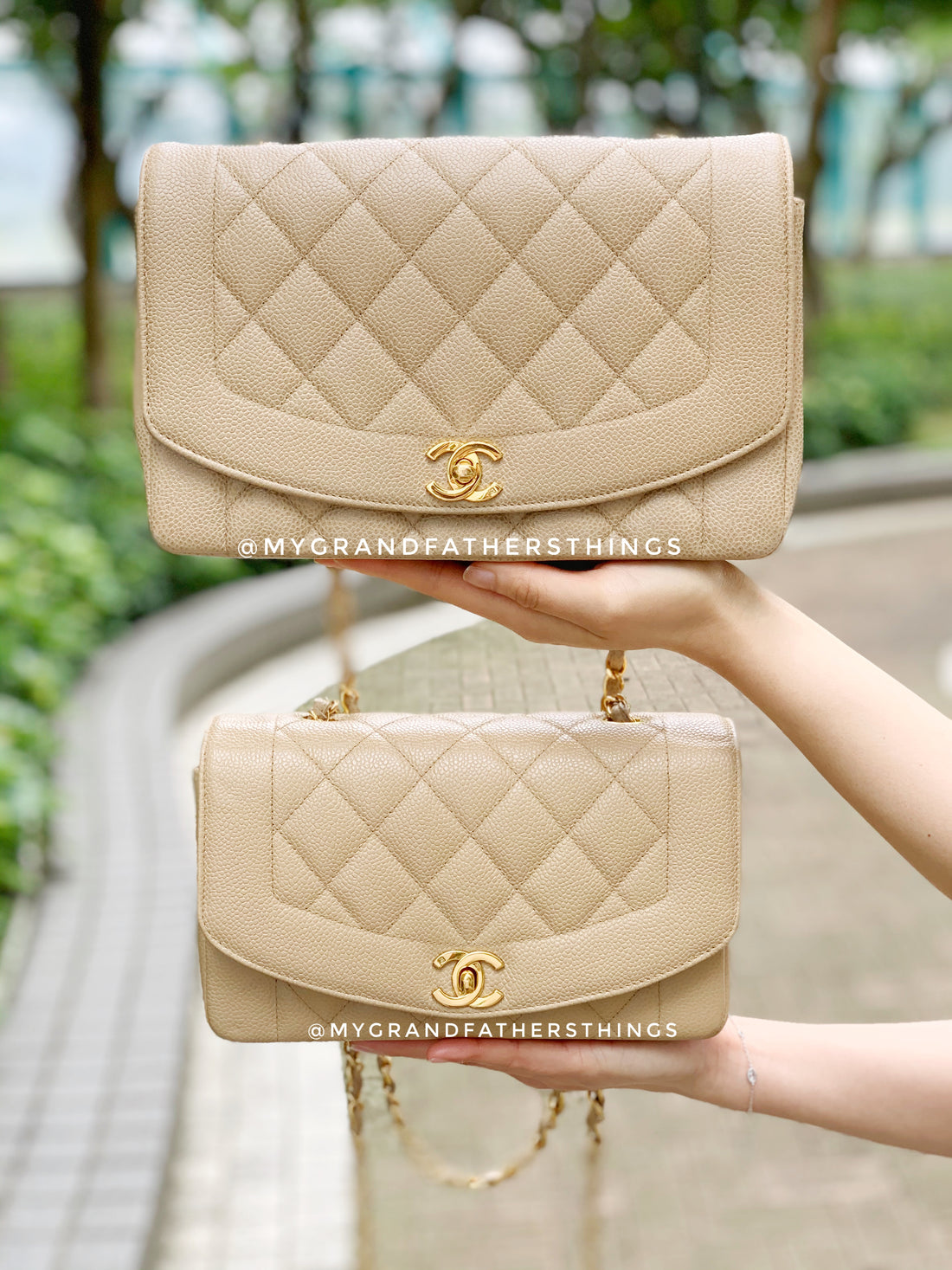 Designer Handbag Review  Chanel Small Lambskin Diana and Purchasing  Experience  The Lust Listt