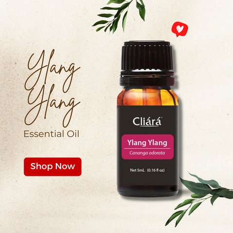 ylang ylang oil