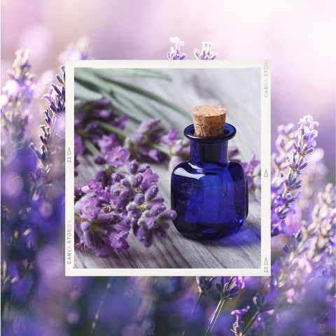 lavender-oil-for-headache