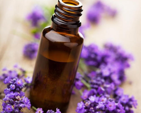 Lavender oil for hair care