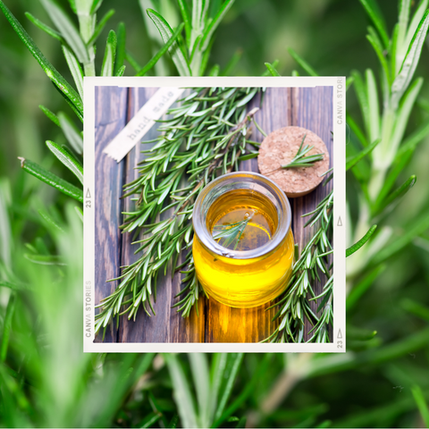 rosemary-for-headache