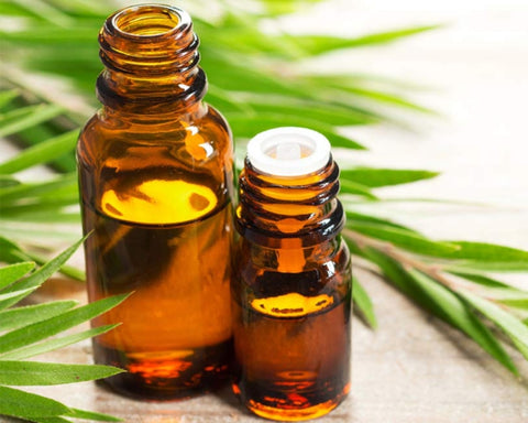 Rosemary oil for hair care