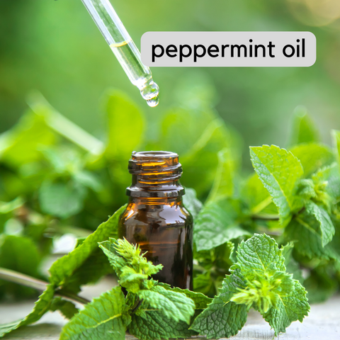peppermint-oil