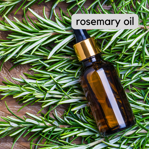 rosemary-oil