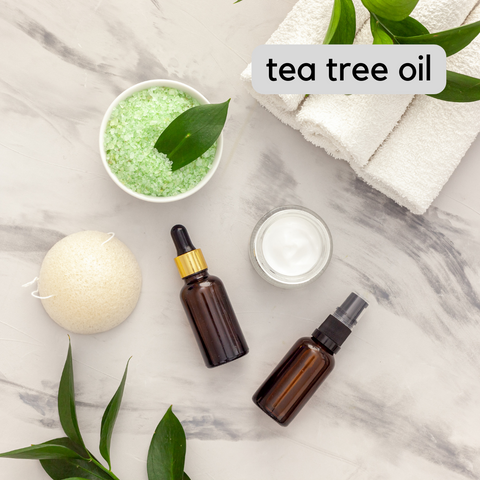 tea-tree-oil