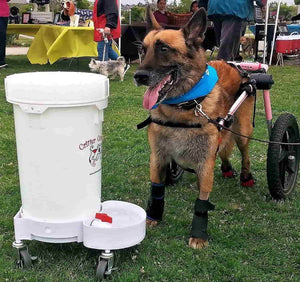 Dog Water Dispenser From Critter Concepts Up To 6 5 Gallons In