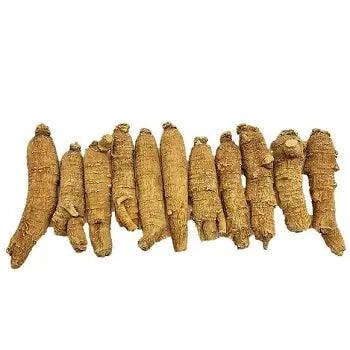 New Green Nutrition - High Quality Nutrition Superstore