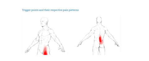 Iliopsoas muscle points