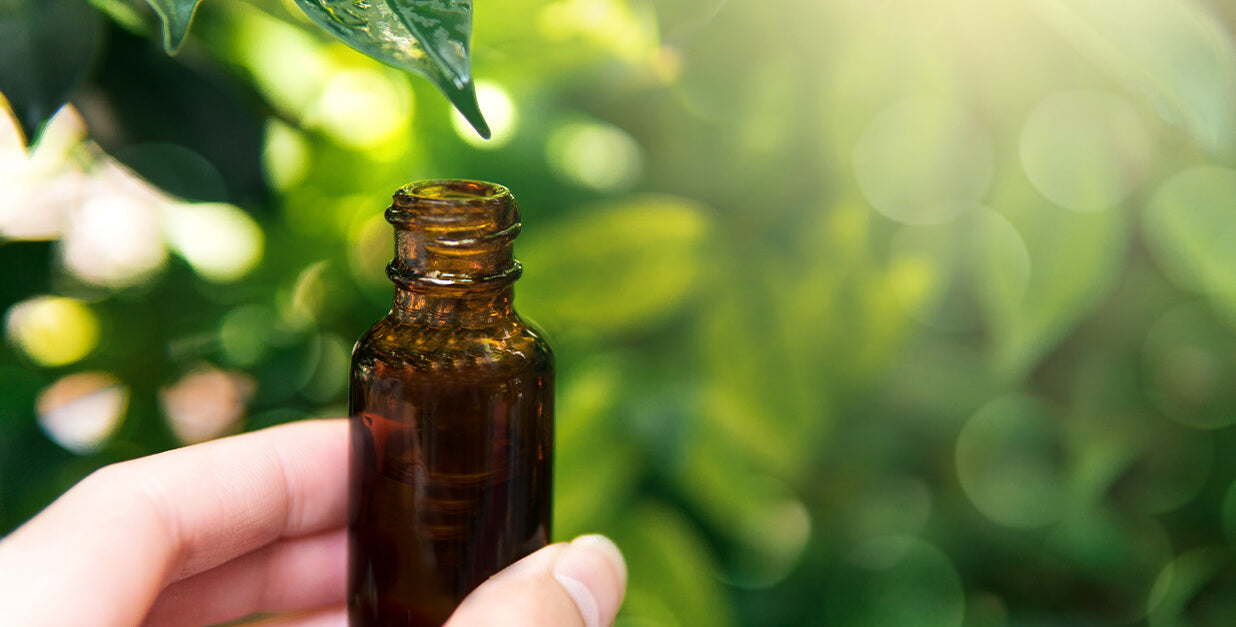 7 Tips on How to Extend the Shelf Life of Essential Oils | NB