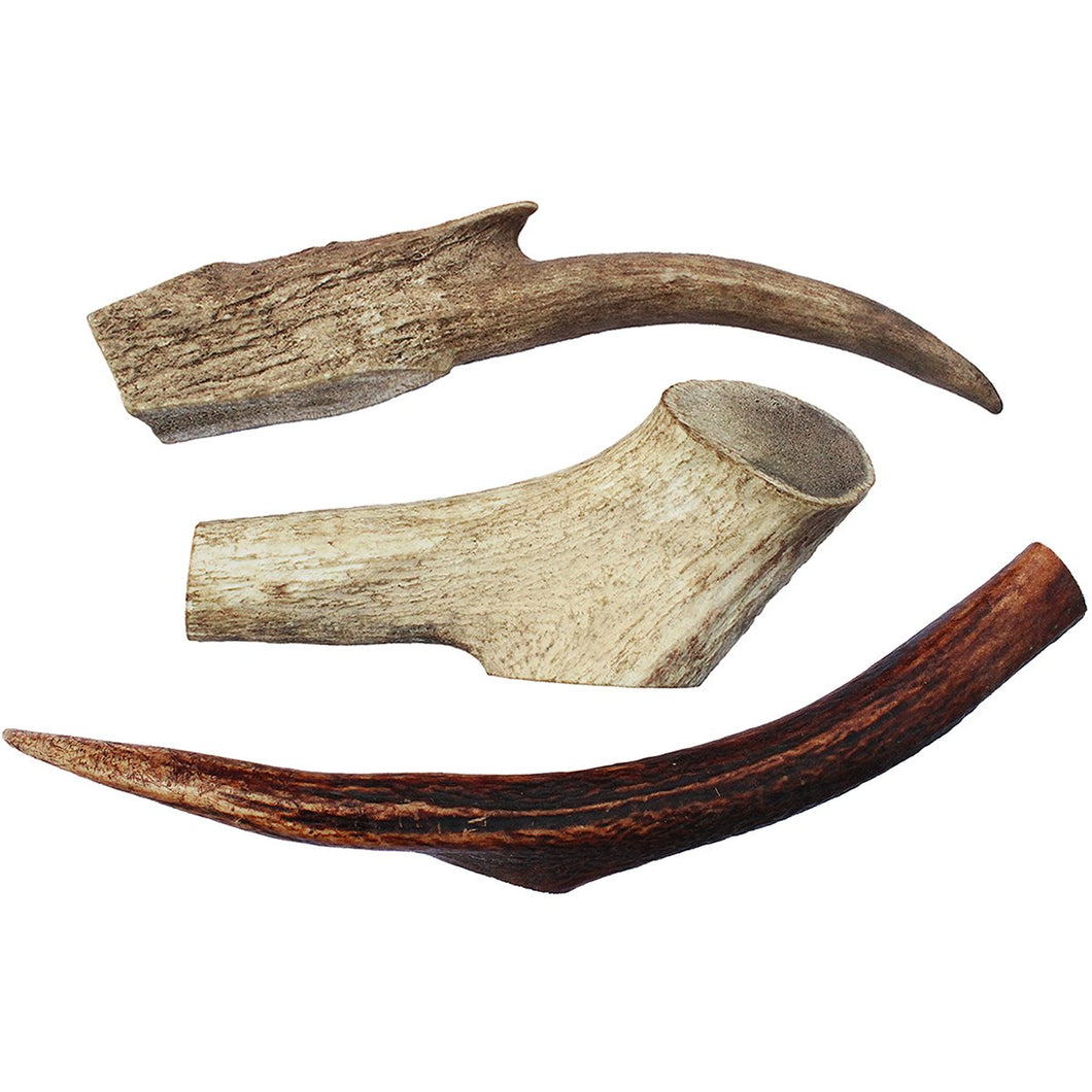 are deer antlers for dogs treated