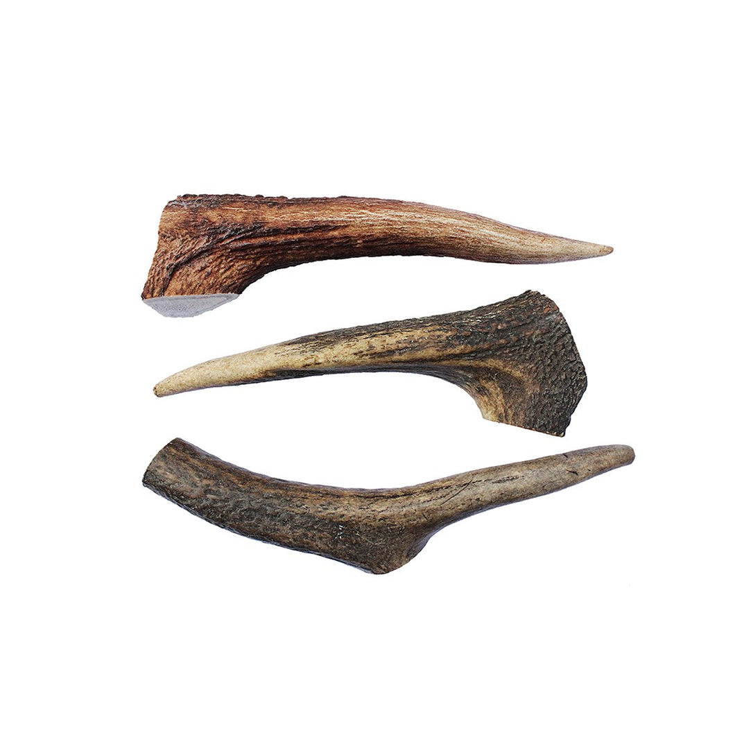 are deer antlers for dogs treated