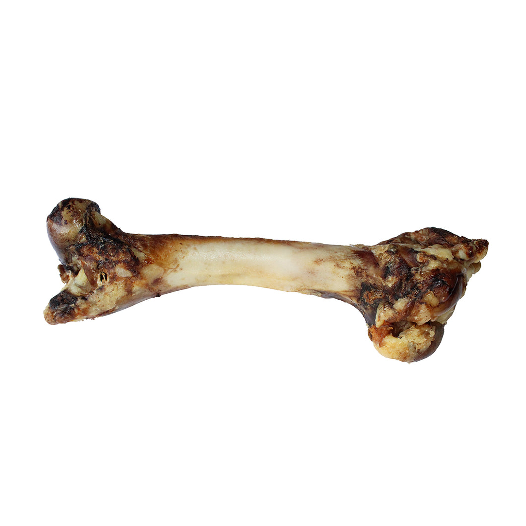 are femur bones safe for dogs