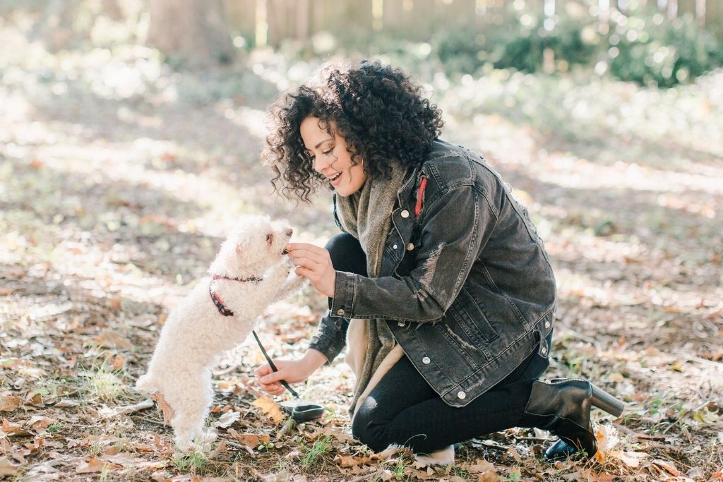 Dog Training Tools That Are Actually Harmful