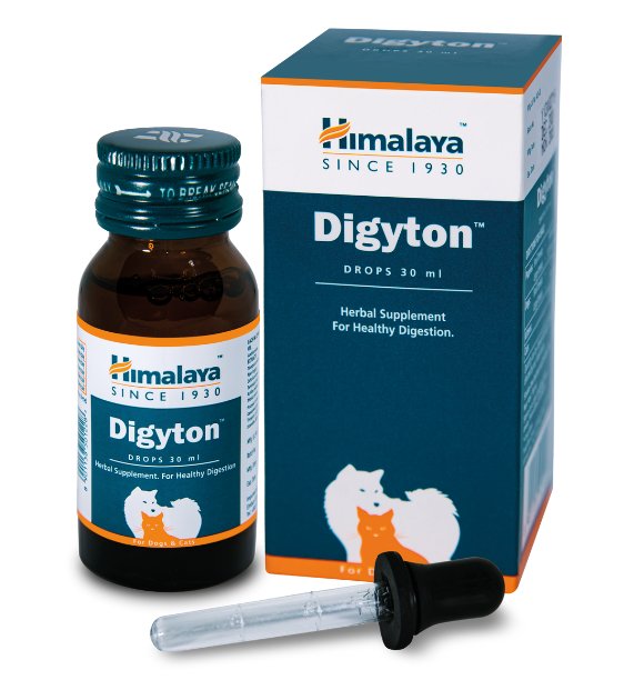 Buy Himalaya Supplement for Dogs & Cats - Liv 52 Liver Support