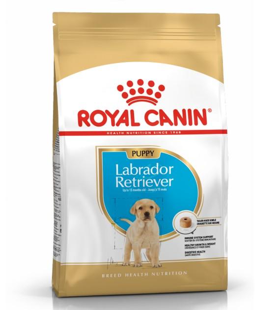 royal canin lab puppy