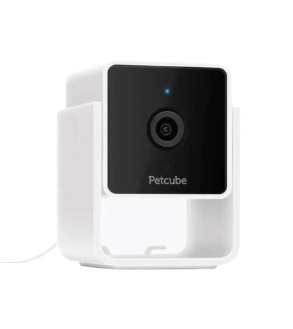 Petcube coupon discount