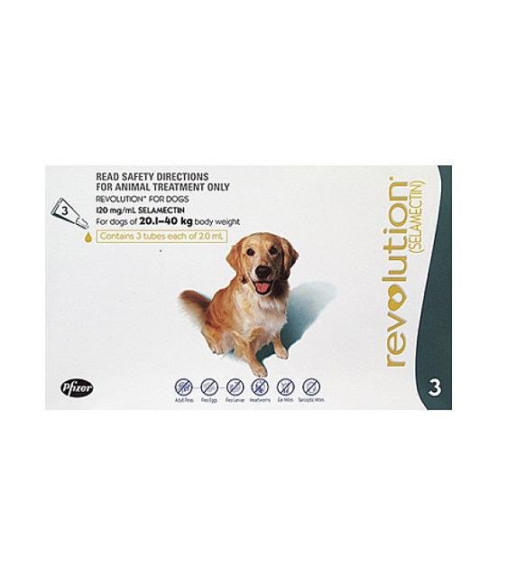 dog heartworm tick and flea medicine