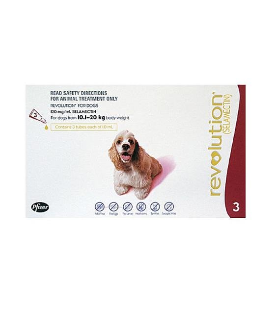 Revolution Heartworm Tick Flea Control More In Sg Good Dog People