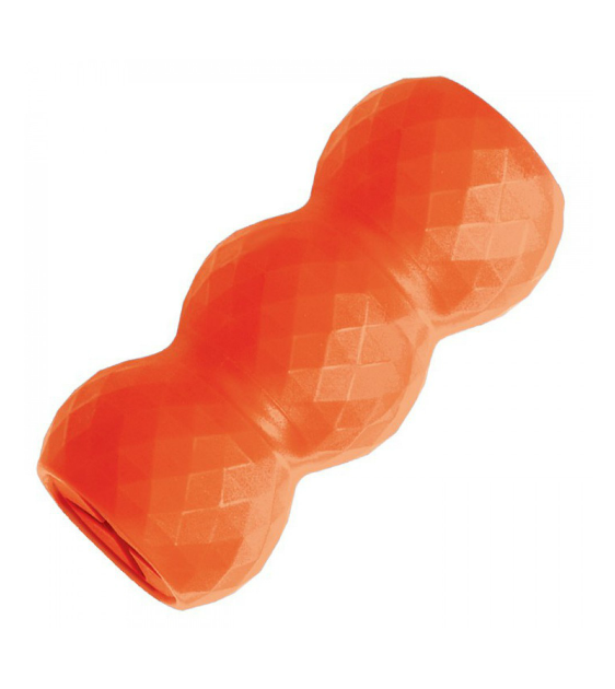 Kong - Genius Mike - Dog Toy - Small