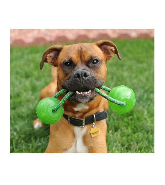 kong ball with rope dog toy