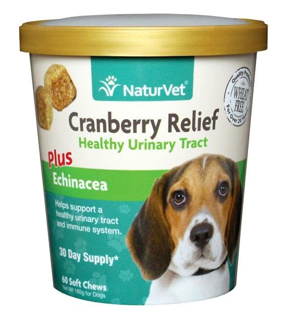 are cranberry pills good for dogs