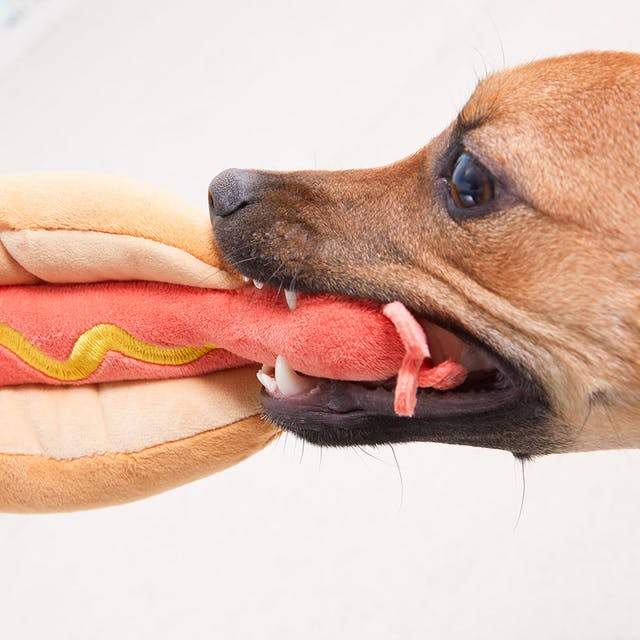 hot dog plush dog toy