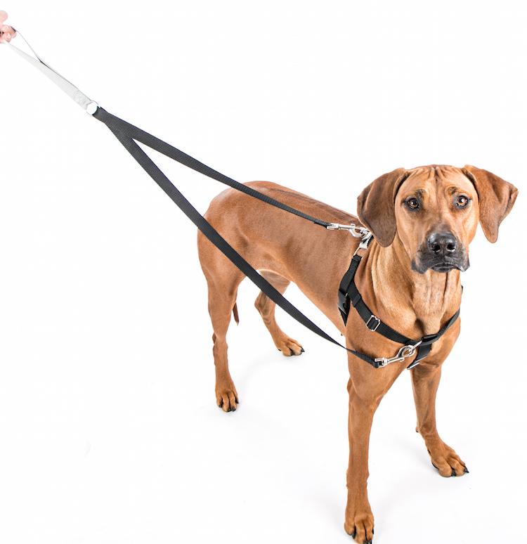 dog harness that helps with pulling