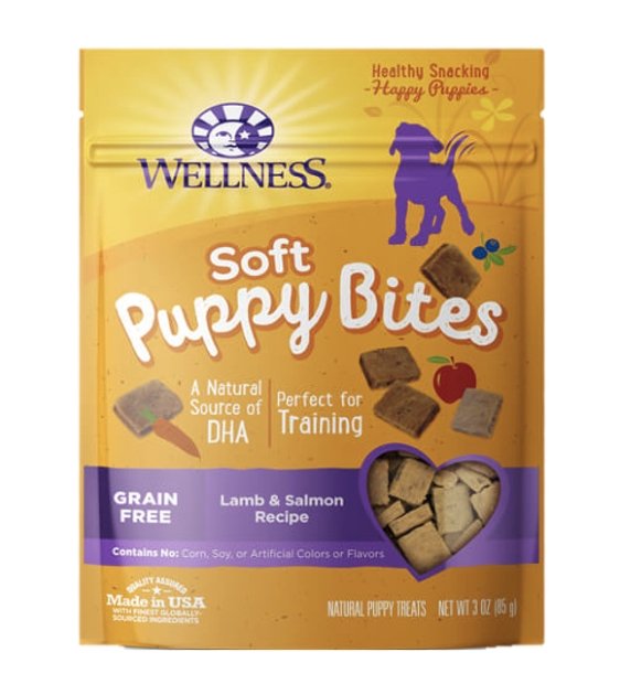 the best dog treats