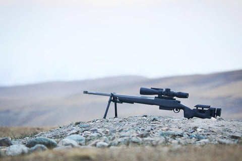 Evolution Bipod 