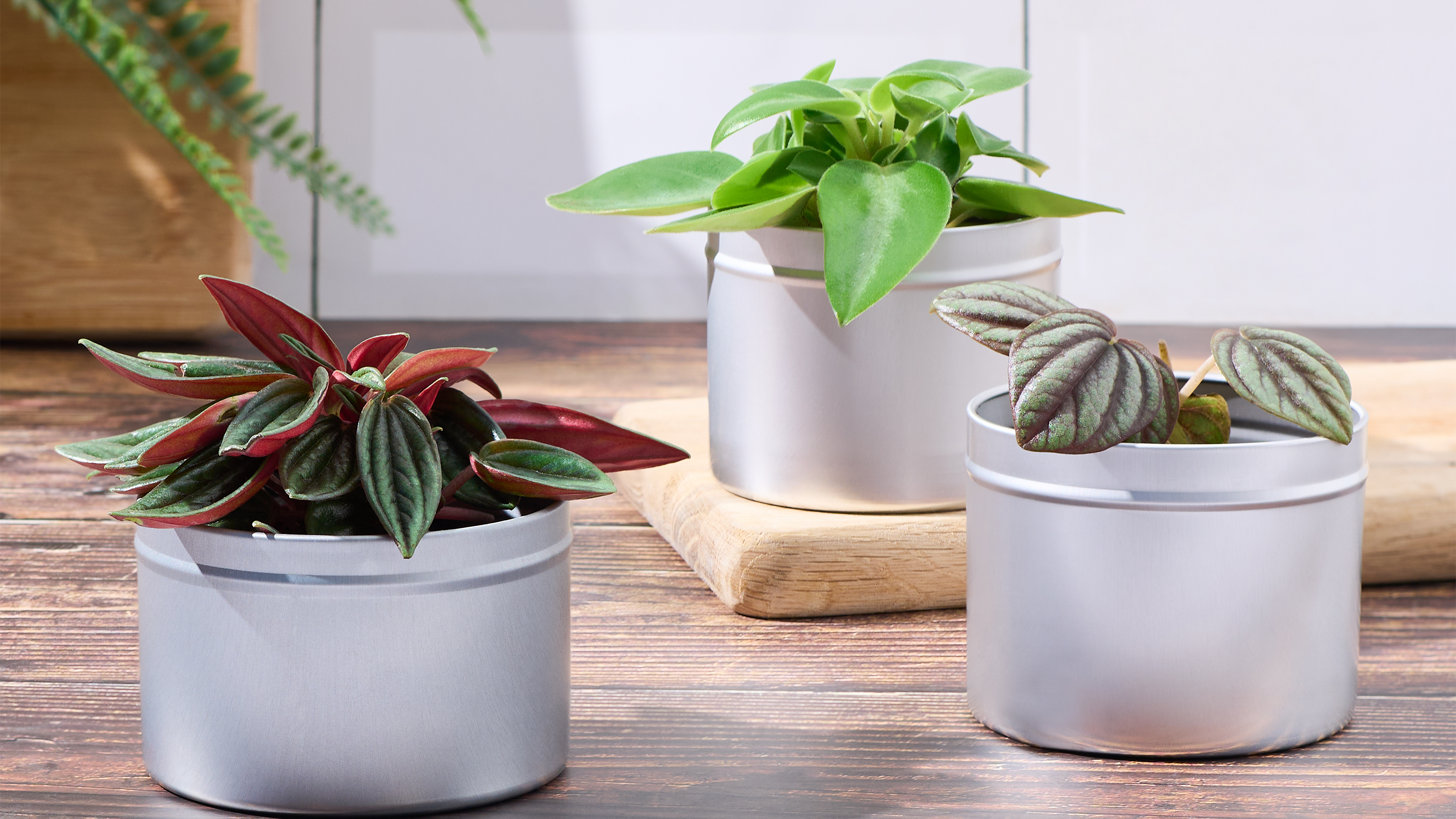 Reusable tin packaging for plant pots