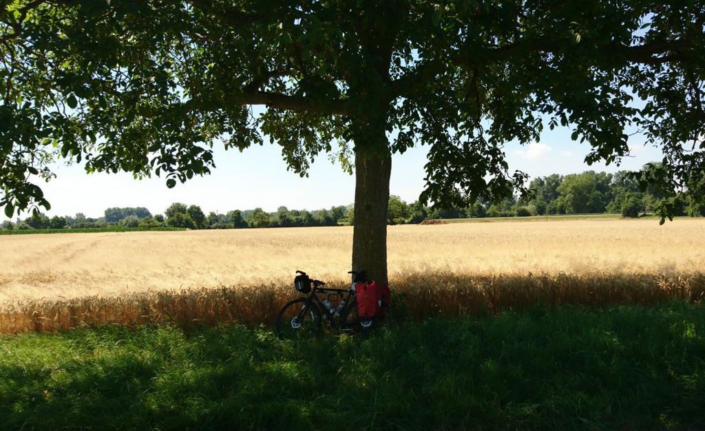 bike in front of a field